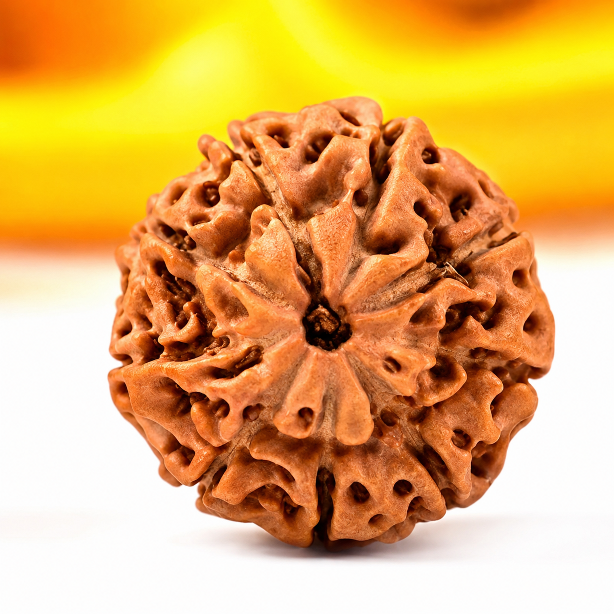 9-Augen Rudraksha (Java) - Für innere Stärke und übernatürliche Wahrnehmung